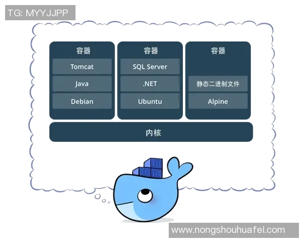 足球场小球星标识图解解析与应用详解