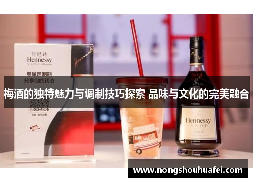 梅酒的独特魅力与调制技巧探索 品味与文化的完美融合